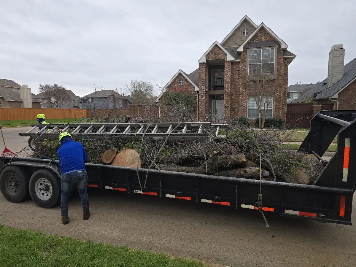 Expert Lot Clearing with proper safety equipment in Franconia